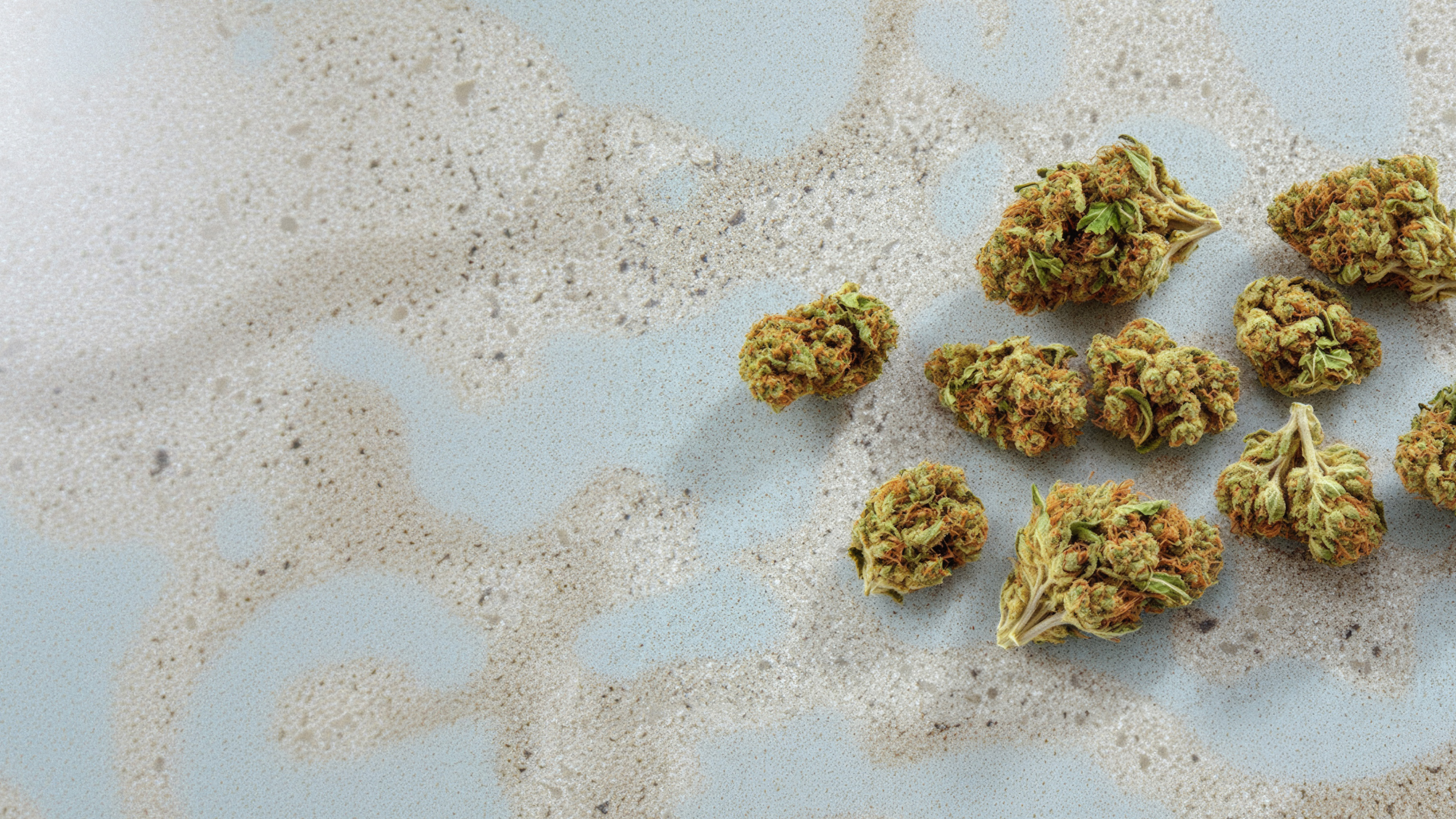 A hand holding a rechargeable vape unit in the woods.